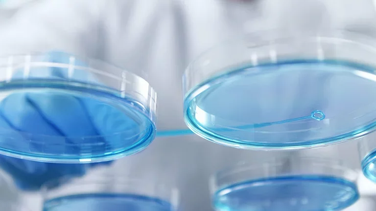 Chemical Testing